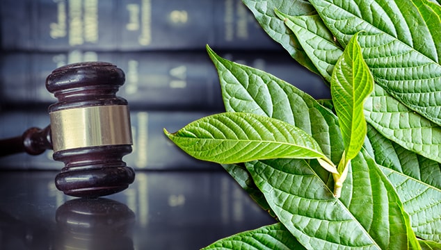 Is Kratom Legal